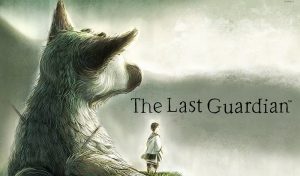 the-last-guardian-install-size[1]